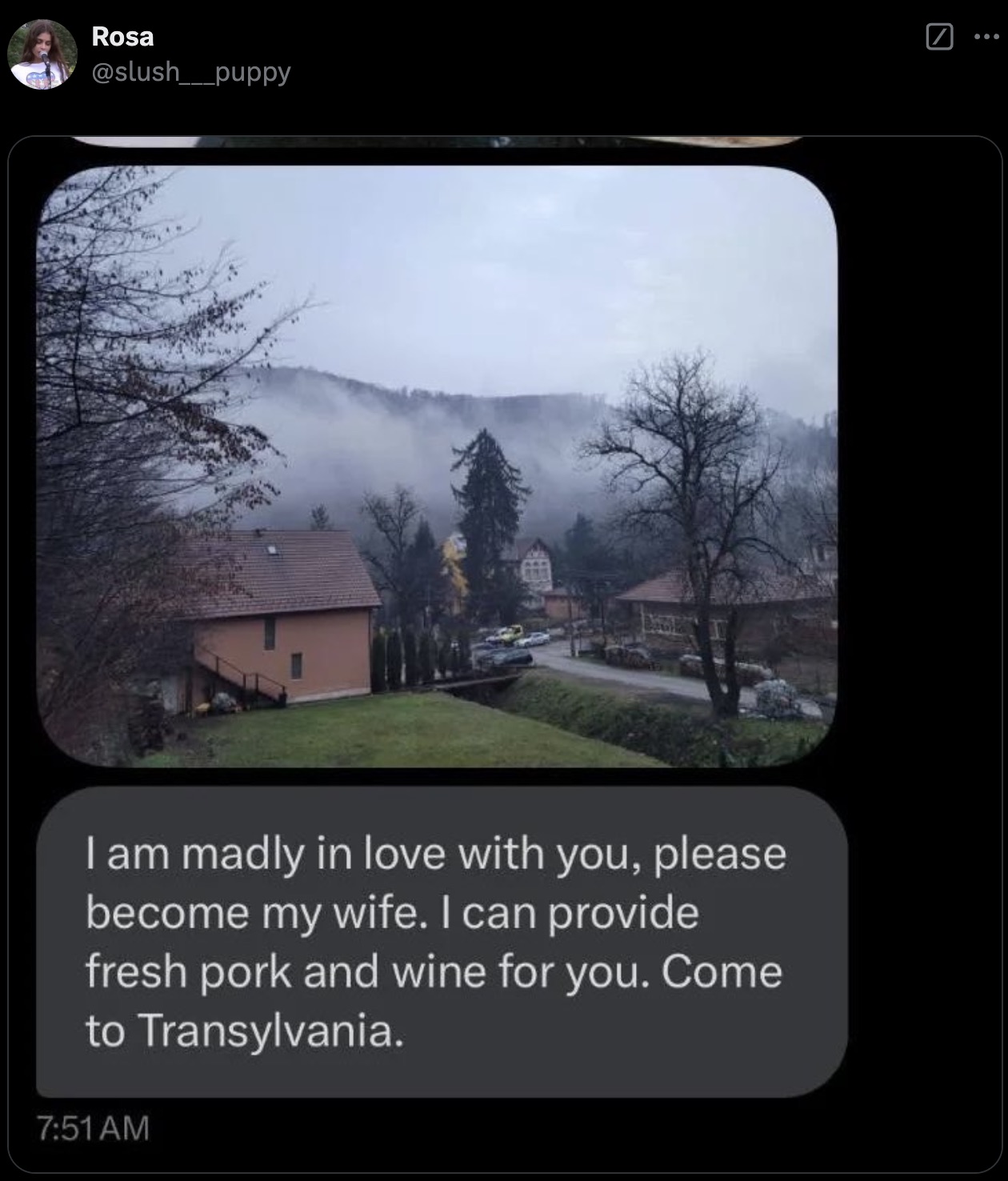 am madly in love with you please become my wife - Rosa I am madly in love with you, please become my wife. I can provide fresh pork and wine for you. Come to Transylvania.